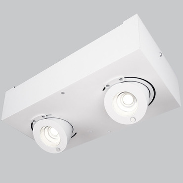 Bridge Adjustable 2-Light Ceiling Light | ZANEEN design at Lightology Bridge Adjustable 2-Light Ceiling Light