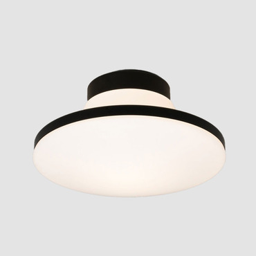 Geyser Ceiling Light