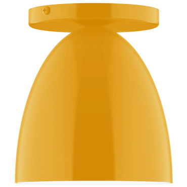 J-Series Jill Ceiling Light