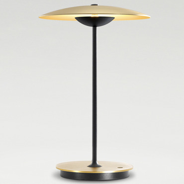 LED-Ginger Portable Table Lamp - Overstock