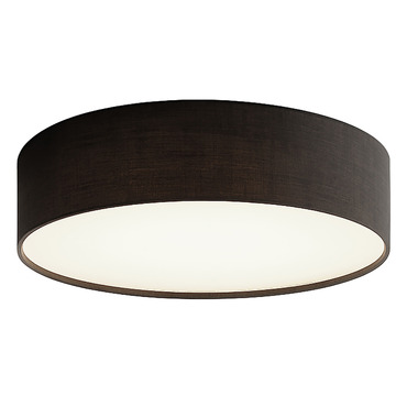 Ashland Color-Select Ceiling Light