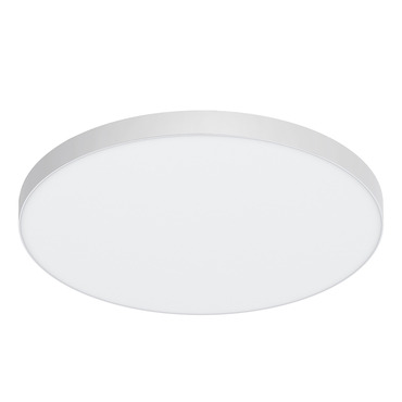 Brim Outdoor Color-Select Ceiling Light