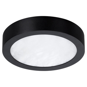 Argyle Color-Select Ceiling / Wall Light
