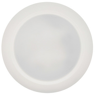Disc 10 inch Ceiling / Retrofit Recessed Light