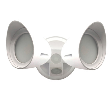Dual Head Security Light
