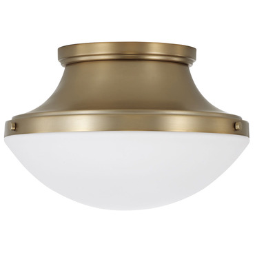 Arlo Ceiling Light