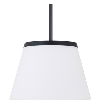 Drake Pendant | Capital Lighting at Lightology Drake Pendant