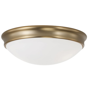 Hansen Ceiling Light