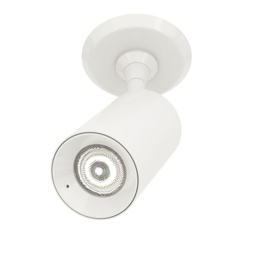 Piston Monopoint with 2IN Round Canopy - Floor Model