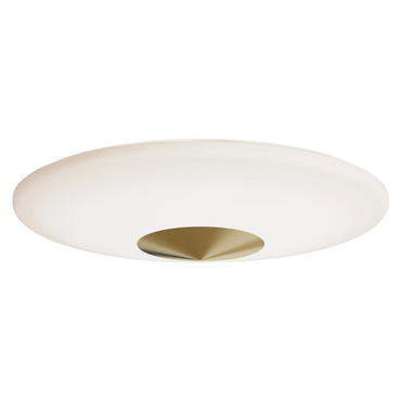 Alpine Color-Select Ceiling Light
