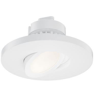 Tilt Flush Mount Ceiling Light with Adjustable Gimbal