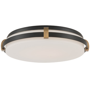 Arclume Color-Select Ceiling Light