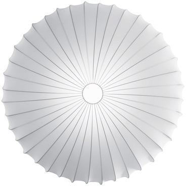 Muse Wall / Ceiling Light - Overstock