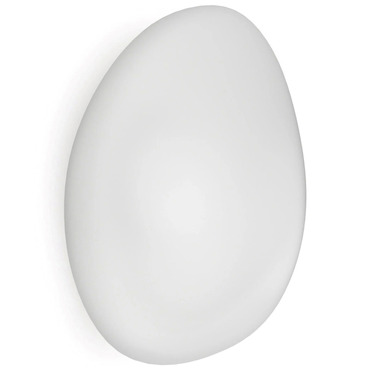 Neochic Wall / Ceiling Light - Overstock