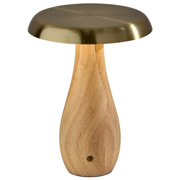 Naya Portable Table Lamp | Adesso Corp. at Lightology Naya Portable Table Lamp