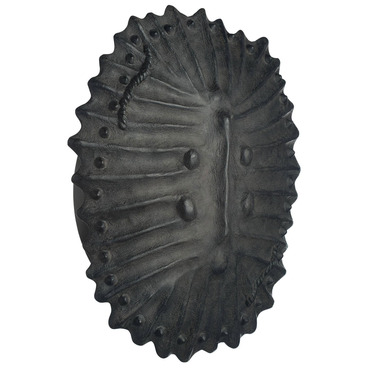 Neushoorn Wall Sconce | Arteriors Home at Lightology Neushoorn Wall Sconce
