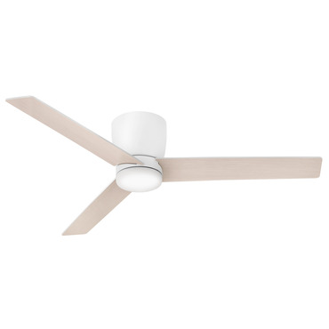 Ari Ceiling Fan with Light