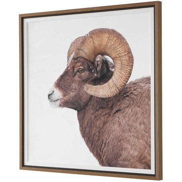 Big Horn Sheep Framed Print | Uttermost at Lightology Big Horn Sheep Framed Print