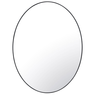Tablet Oval Wall Mirror | Varaluz at Lightology Tablet Oval Wall Mirror