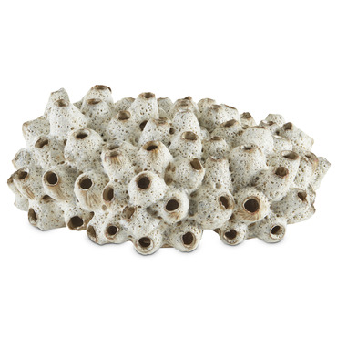 Sulawasi Shells | Currey & Company at Lightology Sulawasi Shells