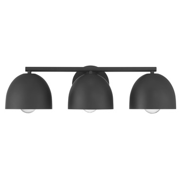 Erling Bathroom Vanity Light | Hunter Fan at Lightology Erling Bathroom Vanity Light