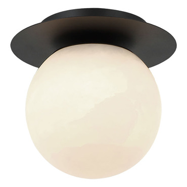 Nikini Wall / Ceiling Light