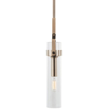 Foxwich Pendant | Varaluz at Lightology Foxwich Pendant
