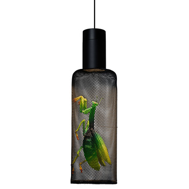 Curio Small Pendant | Kenneth Cobonpue at Lightology Curio Small Pendant