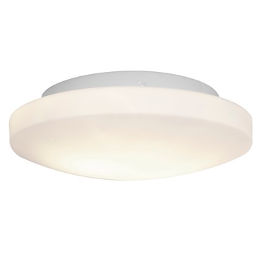 Orion Ceiling Light Fixture