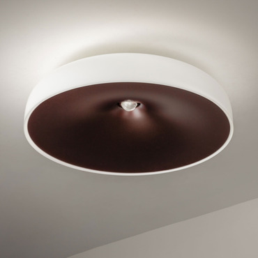 Chet-B Ceiling Light
