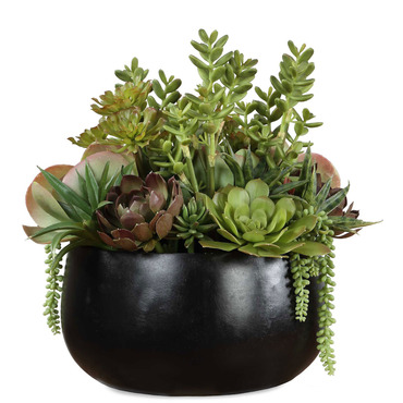 Mico Indoor/Outdoor Succulent Centerpiece | Uttermost at Lightology Mico Indoor/Outdoor Succulent Centerpiece