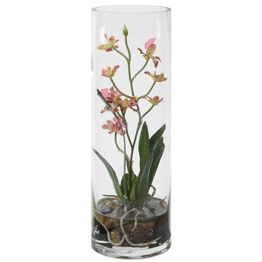 Mariposa Orchid | Uttermost at Lightology Mariposa Orchid