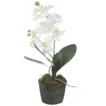 Laris Orchid Drop In | Uttermost at Lightology Laris Orchid Drop In