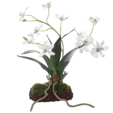 Clovis Orchid Drop In | Uttermost at Lightology Clovis Orchid Drop In