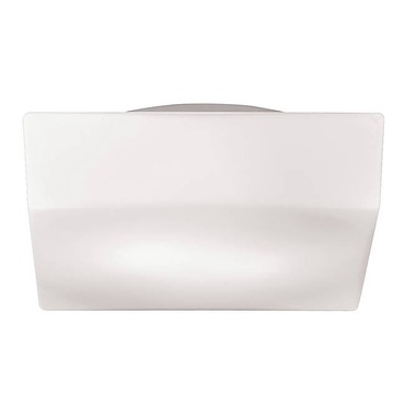 Amata Flush Mount / Wall Sconce