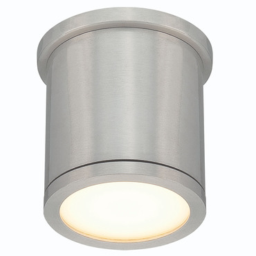 Tube Cylinder Outdoor Wall / Ceiling Light | WAC Lighting at Lightology Tube Cylinder Outdoor Wall / Ceiling Light