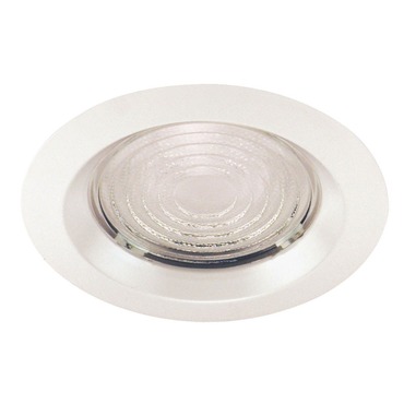 22 Series 6 Inch Fresnel Lens Shower Trim