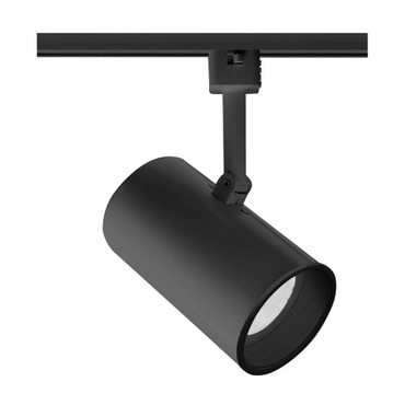 T313 PAR20 Flat Back Cylinder Baffle Track Fixture 120V