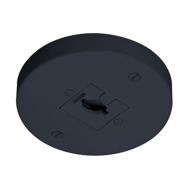 T40 Line Voltage Monopoint Canopy