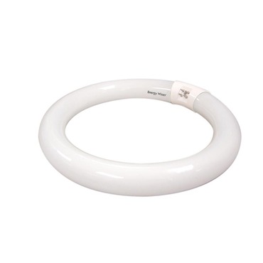 T9 Circline 4-Pin 22W 120V | Bulbrite at Lightology T9 Circline 4-Pin 22W 120V