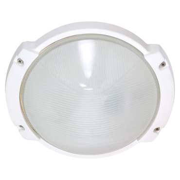 Oblong Round Outdoor Wall Sconce | Satco at Lightology Oblong Round Outdoor Wall Sconce