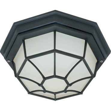 Caged Outdoor Ceiling Flush Mount