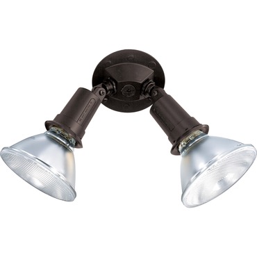 Bare Head Outdoor Flood Light