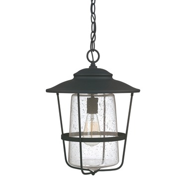 Creekside Pendant | Capital Lighting at Lightology Creekside Pendant
