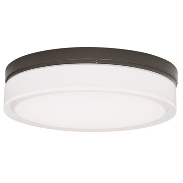 Cirque Outdoor Wall/Ceiling Light Fixture