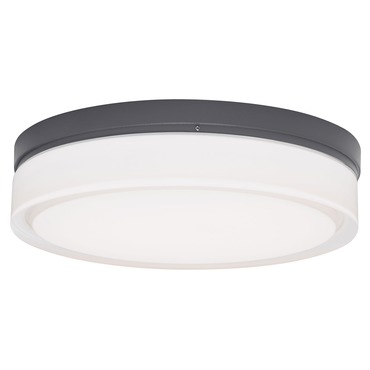Cirque Outdoor Wall/Ceiling Light Fixture