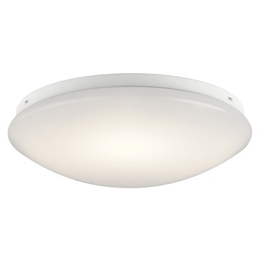 Classic LED Ceiling Light Fixture