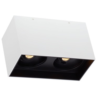 Exo Dual Ceiling Light | Visual Comfort Architectural at Lightology Exo Dual Ceiling Light