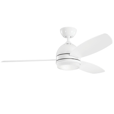 Vassar Ceiling Fan with Light