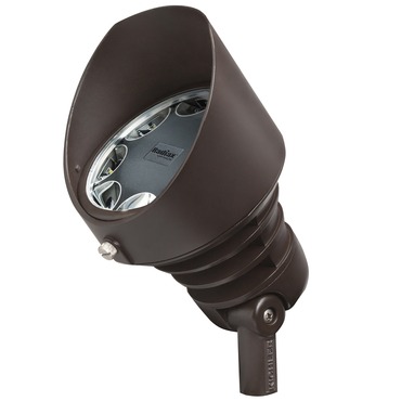 120V C-Series Cast Brass Large Accent Light